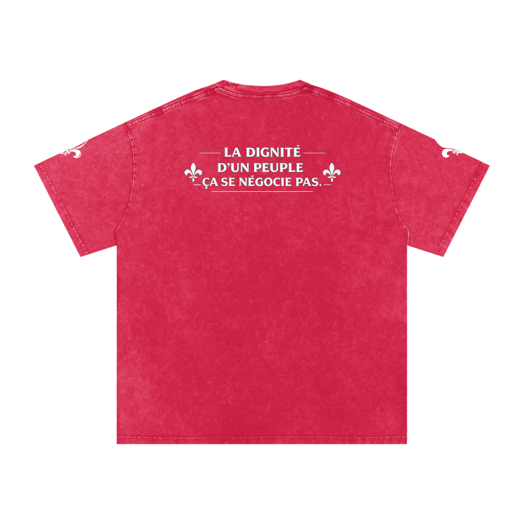 Snow Washed Oversized Cotton T-Shirt NØRD Grand Peuple