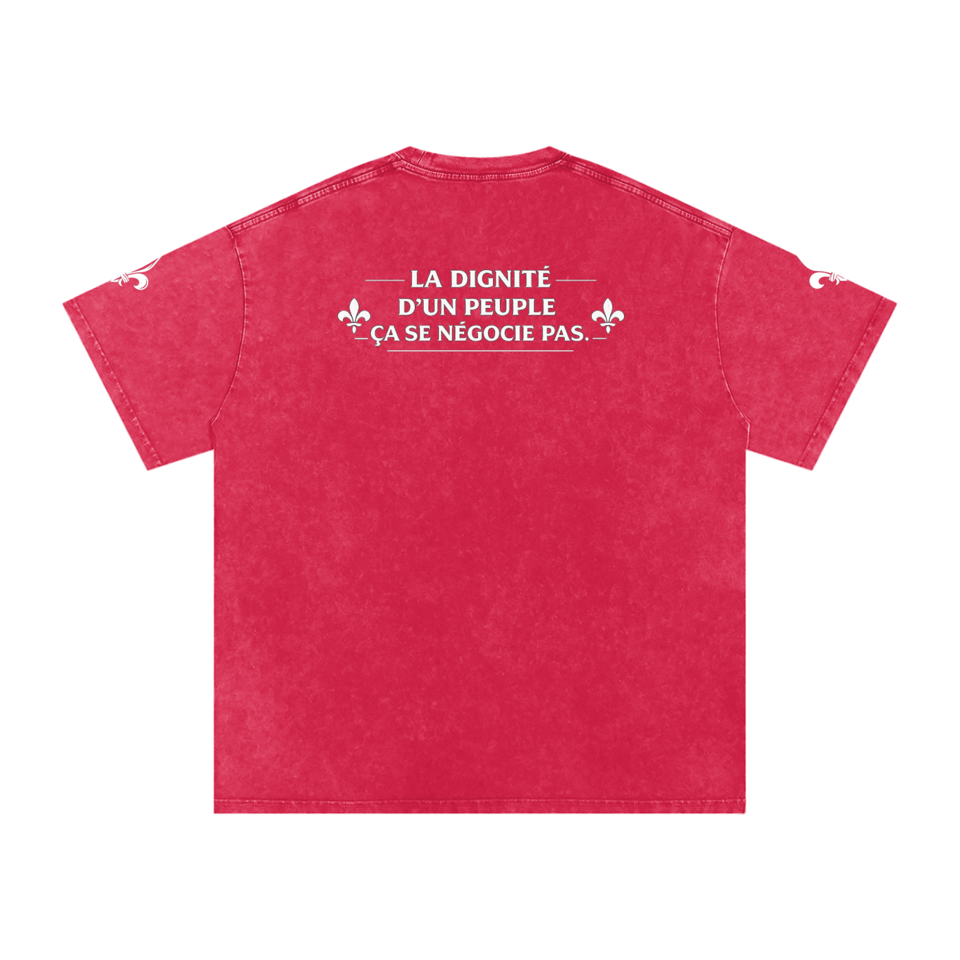 Snow Washed Oversized Cotton T-Shirt NØRD Grand Peuple